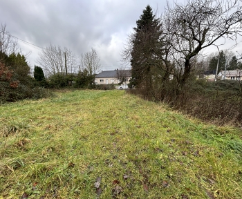 Location d'un terrain comprenant 4 Boxes