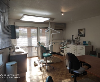 Location Local professionnel 3 pièces Colmar (68000)