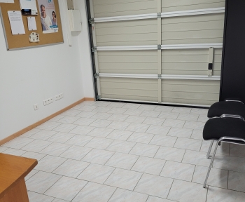 Location Local professionnel  pièce Ensisheim (68190)