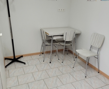 Location Local professionnel  pièce Ensisheim (68190)