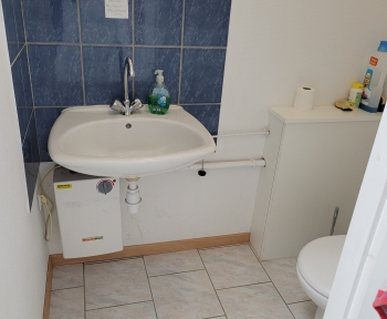 Location Local professionnel  pièce Ensisheim (68190)